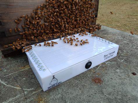 Bee Venom Collector